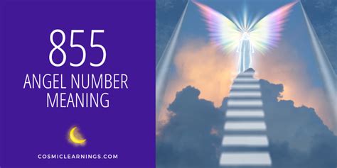 855 twin flame|Angel Number 855: Meaning In Spiritual Realm,。